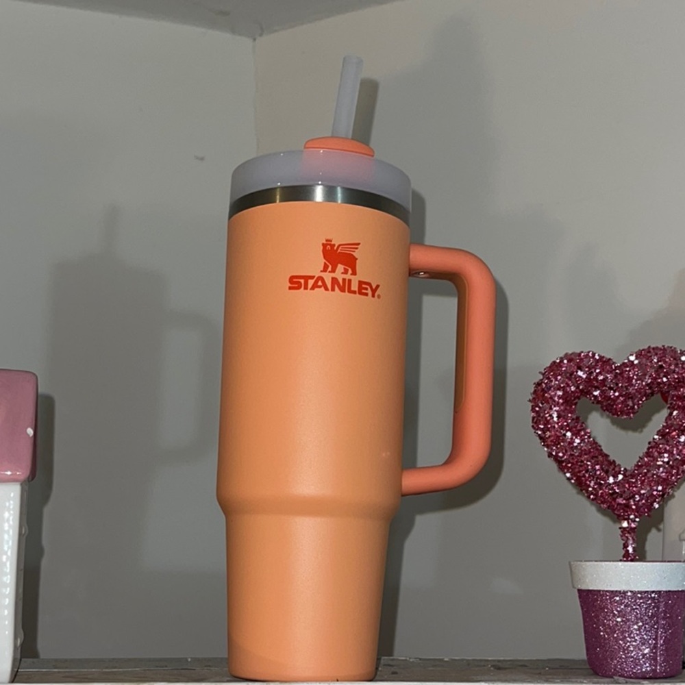 Nectarine 30 oz Stanley Insulated Mug with Handle